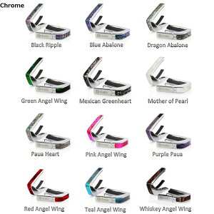 Thalia Capos Exotic Shell yChromezyBlack Chromezy24K GoldzJ| J|^Xg ^A ^AJ| ^A J|