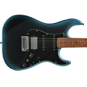 Bacchus GS-2DX RSM/M obJX S҃IXX GLM^[ SSH