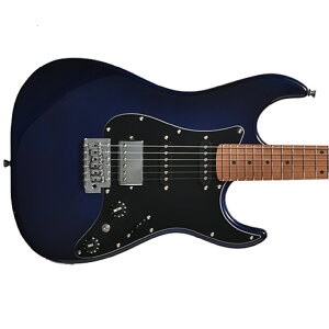 Bacchus GS-2DX RSM/M �o�b�J�X ���S�҃I�X�X�� �G���L�M�^�[ SSH