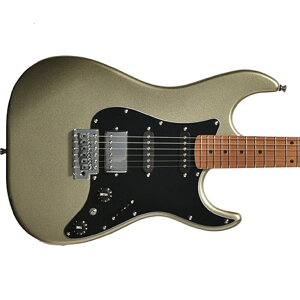 Bacchus GS-2DX RSM/M obJX S҃IXX GLM^[ SSH