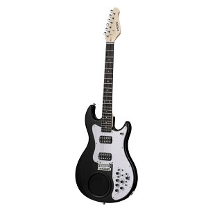 VOX APC-2 BK,WH,AG Av GtFNg dr쓮 GL GLM^[