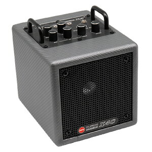 PHIL JONES BASS NANOBASS X4C Carbon Silver (�J�[�{���E�V���o�[) 2025�N����J���[�x�[�X�A���v ���^ ���o�C���o�b�e���[�쓮 Bluetooth