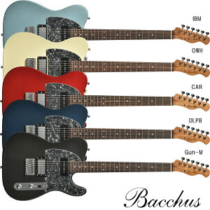 Bacchus BTE-4-RSM/R-BPPG �o�b�J�X �e���L���X�^�[ ���j�o�[�X�V���[�Y Gun-M IBM OWH CAR DLPB