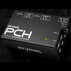 strymon PCH �X�g���C���� �A�N�e�B�u DI �{�b�N�X �w�b�h�z���A���v����