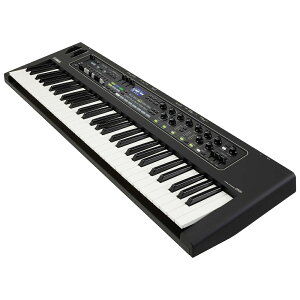 YAMAHA CK61 CuL[{[h