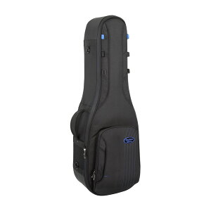Reunion BluesRBC232EDouble Electric Guitar CaseGNgbNM^[P[Xi2{[pj