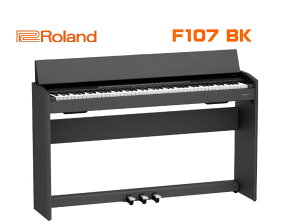 y[12{\zROLAND F-107BK[h dqsAm X^CbV ubN pŒ֎qt