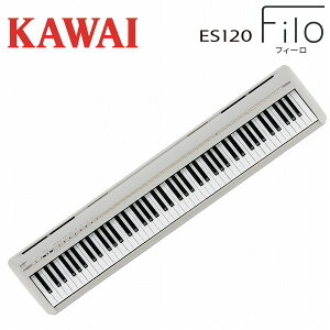 KAWAI JC / ES120LG CgO[ dqsAm88