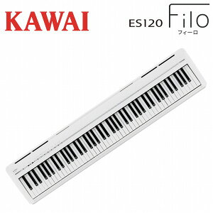 KAWAI JC / ES120W zCg dqsAm88