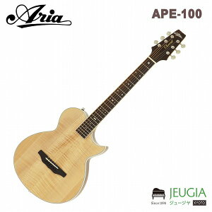 ARIA/APE-100 N i` GAR AR[XeBbNM^[ TChTEhz[