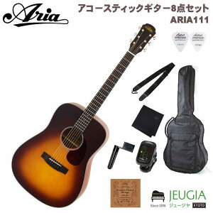 【小物セット付き】ARIA 111 MTTS アリア アコースティックギター アコギ フォークギター ナチュラル 【初心