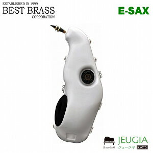 BEST BRASS C[TbNX AgTN\tHp ES3-AS