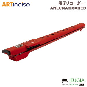 ARTINOISE / lunaticaiieBJjre.corder dqR[_[ bh ANLUNATICARED