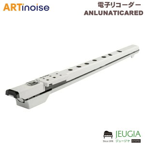 ARTINOISE / lunaticaiieBJjre.corder dqR[_[ zCg ANLUNATICARED