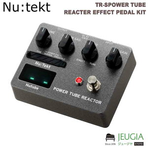 KORG TR-S POWER TUBE REACTOR