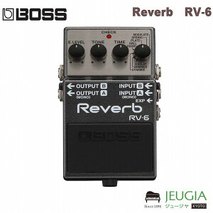 BOSS/RV-6 {X Reverb o[u GtFN^[