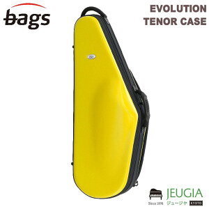 bags EVOLUTION EFTS YEL(CG[) ei[TbNX n[hP[X obOX