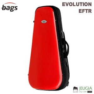 bags EVOLUTION EFTR RED(bh) gybg n[hP[X obOX