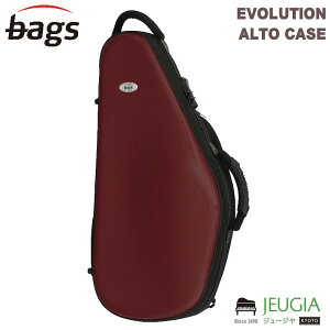 bags EVOLUTION EFAS M-RED(^bNbh) AgTbNX n[hP[X obOX