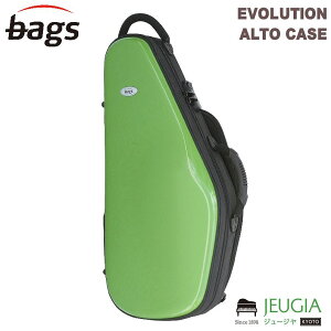 bags EVOLUTION EFAS GRE(O[) AgTbNX n[hP[X obOX