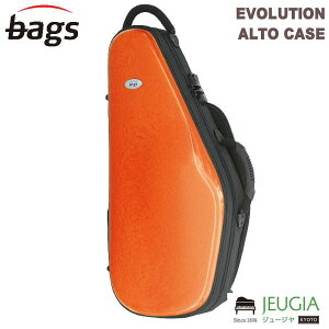 bags EVOLUTION EFAS ORAiIWj AgTbNX n[hP[X obOX CG[