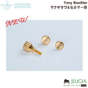 YANAGISAWA / Yany BooStar j[u[X^[ SELMER S[hv[g SAXOPHONE PLATE TbNX lbN~߃lW NECK SCREW