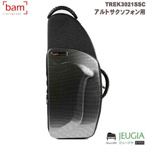 BAM TREK3021SSC Silver Carbon AgTbNXP[X j[gbLOX^C o