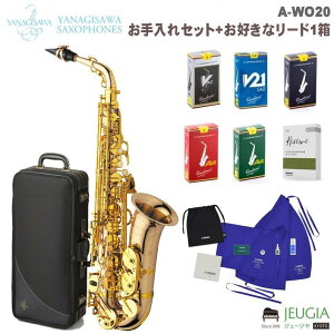 YANAGISAWA Alto Saxophone A-WO20 iMT AgTbNX TbNX TN\tH