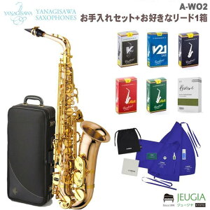 [ςݑ[\]YANAGISAWA Alto Saxophone A-WO2 iMT AgTbNX TbNX TN\tH