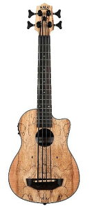 yENx[XzKALA UBASS-SP-MAPL-FS