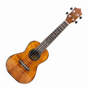 KUMU CG55APN EN RT[gTCY sbNAbvڃf