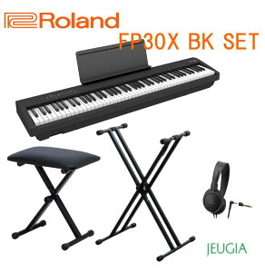 y1zy֎qEX^hEwbhztzROLAND FP-30X BKZbg[h dqsAm ubN ^