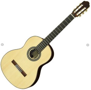 ARIA A-70SARIA NVbNM^[ gbvP