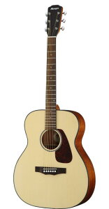 MORRIS F-1 NAT[X@tH[N^Cv i` p