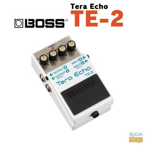 BOSS Tera Echo TE-2{X@e GR[ RpNgGtFN^[yStage-Rakuten Guitar AccessoryzGtFN^[ effector effect pedal {XR