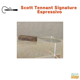 Glass File Scott Tennant Signature Espressivoサウンドファイル ガラス爪ヤスリ スコット・テナント シグネチャー エスプレッシーヴォ【大切な方へのプレゼントにも最適！】【Stage-Rakuten Guitar Accessory】