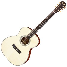 【ギグバッグ・クリップチューナー付き】ARIA AF-501 NAT アリア ドレッドノート ナチュラルフォークギター