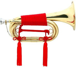 Maxtone TB-3L GL Mbp3 S[hbJ[ P[Xt