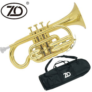 ZO CN-08 �v���X�`�b�N�R���l�b�g �V�����p���S�[���h �y �v���ǁz