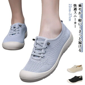 Xj[J[ fB[X Vv Y JWA T}[V[Y y lC y Xb| Ƃ ʋC Ȃ 傫TCY bV bVXb| y ~ 