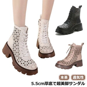 fB[XT_ {v Ȃ U[u[c T}[u[c H v u[T u[eB   fB[X ʋC ̓ T}[u[c {v 5.5cmq[ t fB[Xu[c u[