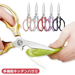 Lb`͂  XeX nT~ I[XeX XeX Lb`oT~ ͂ HiH qI oT~  Lb`nT~ \΂ nT~ v ƒp 