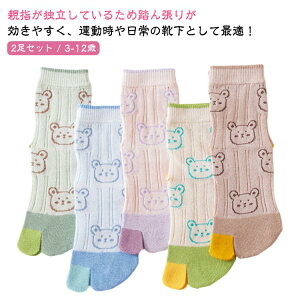 �\�b�N�X �L�b�Y �^�r ���킢�� 2�{�w�C�� 2���Z�b�g �n�C ���w�� �^�r�\�b�N�X ���܌C�� ���� �W���j�A �C�� ���ǂ� ���� ��{�w�\�b�N�X ������ �V���v�� ���܃\�b�N�X