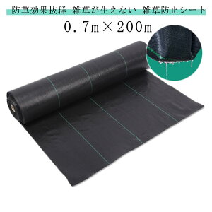 ԏ hV[g  G ϋv xkc Gh~V[g V[g rj[nEX  | ڂV[g ԏ 0.7m×200m lHł̉~ XΒn ϋvN K[fjO hV