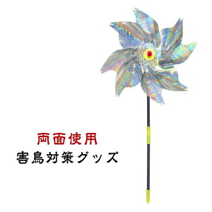 ̃t΍  10Zbg 悯 h ǂ z  镗 y ŉ镗 炷 悯 Q΍ | x_ LL c JX悯 K[f O   