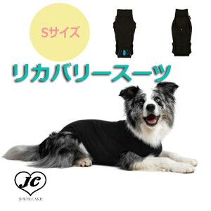 y3cƓȓzyzSTCYySuiticalzJo[EX[c / XXXS-L[dad-wayi_bhEFCj]@ybg@ybgpi@hbOEFA@@^@^ 