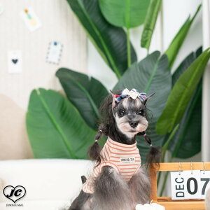 3�c�Ɠ��ȓ������I[�T�C�Y:XS/�I�����W���Ȃ�]�p���_�V���c�@�������@JUNIOR PIE�@�W���j�A�p�C�@���k�������Q�̃{�[�_�[�V���c�@�w���̃p���_�͗l���ƂĂ������ł��@���@���@�h�b�O�E�F