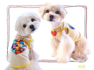 y[֖zBling Stuffy Bear^N@CCW-0288 XXS`LTCY@hL@q[g@\@^Ngbv@I[Xg[@LL@Jt@xA@܁@T[JXT[JX@@hbOEGA