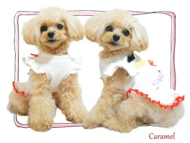 即日発送【メール便無料】CCW-0290 XSサイズ/ホワイト　Charming Ribbon Sweat　リボン　ワンピース　裏起毛　モール　サーカスサーカス　犬　ドッグウエア　小型犬　ボタン　犬服