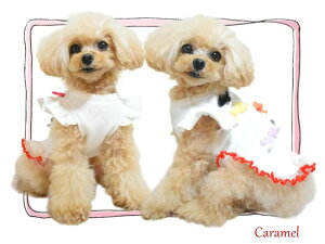 y[֖zCCW-0290 XSTCY/zCg@Charming Ribbon Sweat@{@s[X@Nс@[@T[JXT[JX@@hbOEGA@^@{^@